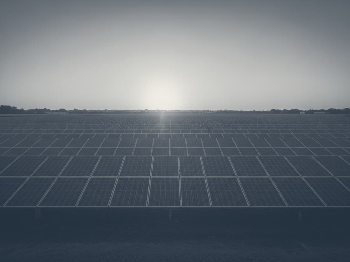 Duotone graphic of solar panel arrays at dawn.